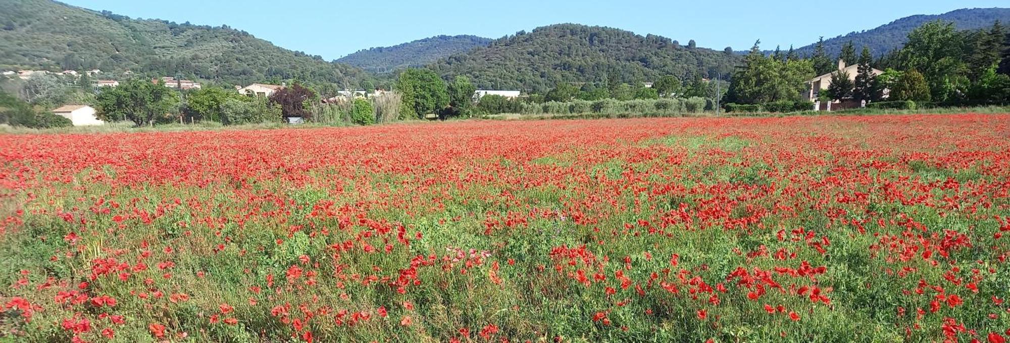 Gite La Mosaique Dauphin エクステリア 写真
