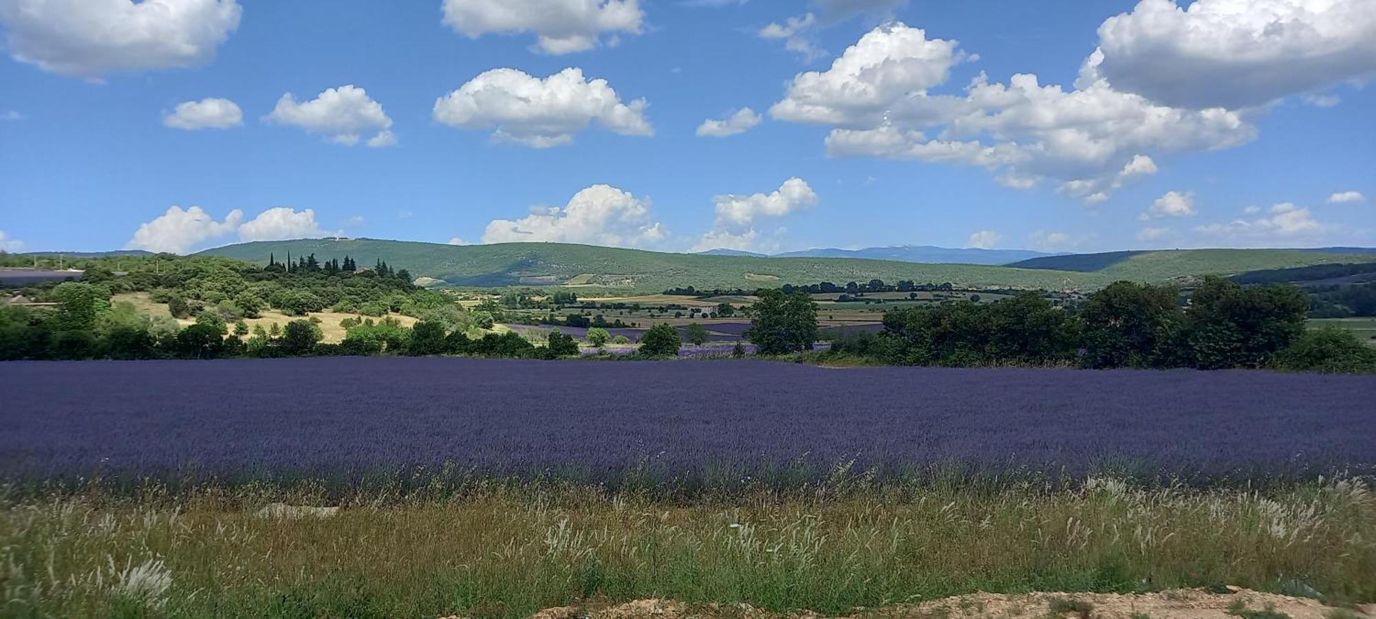 Gite La Mosaique Dauphin エクステリア 写真
